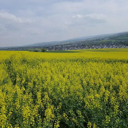 Sunshine * Bad Camberg