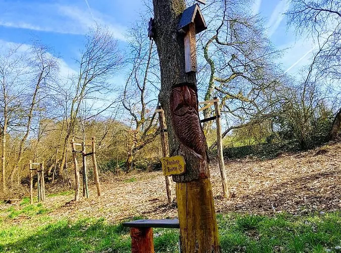 Sunshine * Bad Camberg