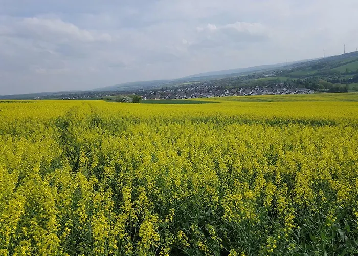 Sunshine * Bad Camberg